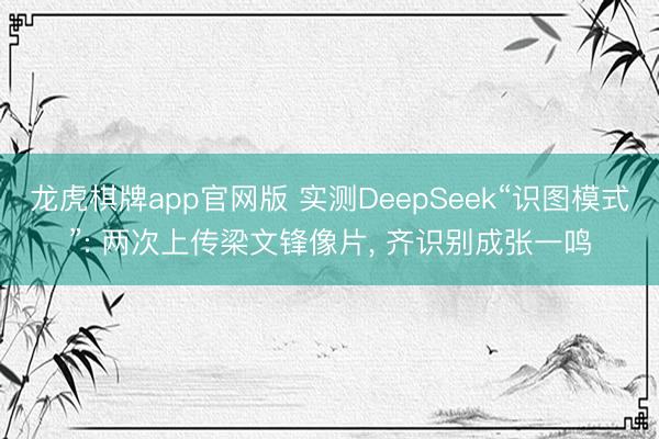 龙虎棋牌app官网版 实测DeepSeek“识图模式”: 两
